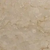 Botticino marble texture with beige and tan tones, displaying golden-brown veining and circular fossil inclusions, polished surface.