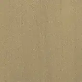 Beige granular texture, consistent and dense, with subtle tonal variations and a mottled effect, presented in even, diffuse lighting.