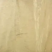 Sycamore wood texture with creamy beige tones, vertical grain, and subtle swirls; natural matte finish with a visible vertical seam.
