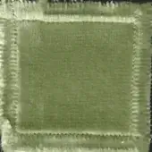 Olive-green textile swatch with textured surface, framed by off-white fringed border in a grid pattern; label reads “swan fabric elite 307”.