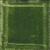 Green velvet fabric swatch with cream fringe, displaying a plush texture and subtle tonal variations; label reads “swan > fabric (elite) > elite 307 22”.