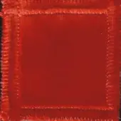 Red fabric swatch with a textured, fuzzy surface and raw edges; code “elite 307 25” visible against a dark background.