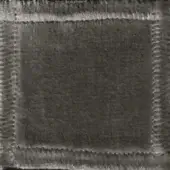 Dark gray textile swatch with dense fringe, showing woven texture and faint edge markings; likely a fabric sample labeled “elite 307 31.”