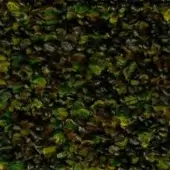 Fragmented texture displaying browns, blacks, green, and yellow tones in a random, organic composition with curled, pliable elements.