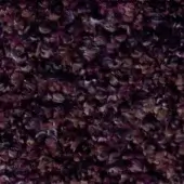Textured fabric surface with irregular purplish-brown, beige, and tan tones, displaying a mottled, organic pattern and fuzzy granular detail.