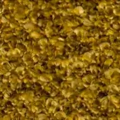 Fibrous texture composed of golden yellow and olive green organic material, displaying a mottled, uneven surface with diffused lighting.