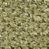 Textured surface of rounded olive green and white forms resembling miniature swans, glossy molded material, repetitive organic pattern, close-up texture.