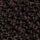Dried flower petal texture, dark purple and burgundy with green foliage, dense organic pattern, textile swatch sample with handwritten label.