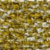 Dried corn kernels display a bicolor pattern of golden yellow and white, with irregular shapes and visible ridges against a neutral background.