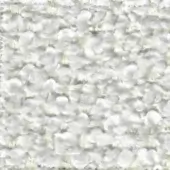 White flower texture, dense arrangement of small multi-petaled blossoms, soft focus, muted tones, seamless repetitive pattern, diffused lighting.