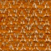 Woven fabric texture, warm orange and off-white, tight grid pattern with matte finish; sample identified as “swan > fabric (extra) > extra 848.”