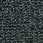 Dark gray woven fabric texture with a granular, nubby surface and horizontal fiber arrangement; sample labeled “swan > fabric (g) > g 459 21.”