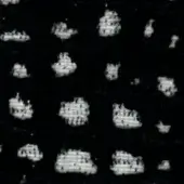 Abstract composition of clustered, textured forms in grayscale with faint swan outlines and overlaid text “swan > fabric (g) > g 475”.