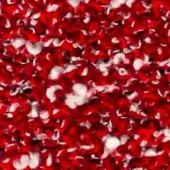 Red fabric texture with white accents, chaotic overlapping pattern, subtle inscription “swan > fabric (h) > h 631”, diffused lighting.