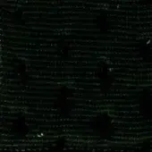Data table with pale green text on black background, displaying repetitive lists of words and numbers including “swan > fabric” labels.