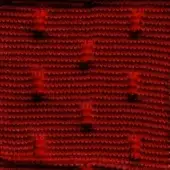 Red knit fabric texture with repeating nodes, dark markings reading “swan > fabric (super) > super 238”, and subtle tonal variations throughout.