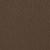 Dark brown leather texture with embossed granular surface, dense matte finish, and irregular linear pattern; handwritten label visible.