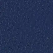 Navy blue granular texture with mottled tone, displaying an uneven, woven or embossed surface and diffused, consistent lighting.