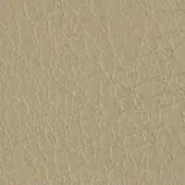 Beige leather texture with raised linear pattern, matte finish, and organic branching structure, warm neutral tone, subtle surface irregularities.