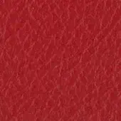 Red leather texture with a dense, interwoven nubby pattern and subtle imprinted text “swan > leather (master pn) > master pn 889”.