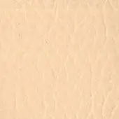 Beige textured surface with interwoven linear pattern, subtle graining, and soft diffused lighting displaying organic tonal variations.