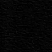 Dark granular texture with subtle tonal variations, monochromatic palette of charcoal and black, matte finish, faint embedded text “swan > leather”.