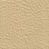Beige textured surface with embossed wrinkled pattern, uneven peaks and valleys, diffused lighting, neutral background, organic visual structure.