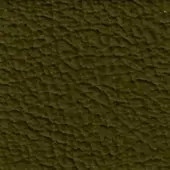Textured olive green plaster surface with uneven bumps and ridges, displaying a dense, irregular horizontal pattern and subtle tonal variations.