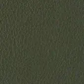 Olive-green leather texture with irregular grain, displaying a consistent, subtly rough surface and diffused lighting across the frame.
