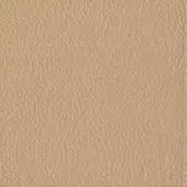 Tan leather texture with irregular grain, matte finish, and interwoven density; sample labeled “swan > leather (pn) > pn 1638”.