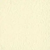 Beige textured surface displaying granular bumps, uneven indentations, and subtle tonal variations in a neutral, organic composition.