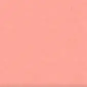 Peachy-coral textured background with repeating floral and geometric patterns, featuring a dark gray horizontal band at the bottom edge.