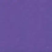 Purple textured background with a linen-like grain, matte lavender tone, and consistent diffused effect throughout the frame.