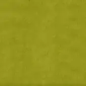 Olive-green textured background with subtle vertical striations and diffused tonal variations, presenting a digitally rendered, aged surface.