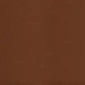 Warm brown textured background with granular surface, resembling distressed leather or fabric, featuring a consistent reddish-brown tone throughout.