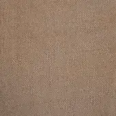 Biscotto woven fabric texture displaying a dense, granular matte surface with subtle tonal variations and a consistent fine grain.