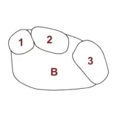 Venn diagram with three white circles overlapping on white, labeled with numbers and “B”, within an irregular black outlined shape.