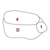 Geological cross-section diagram labeled “pebble rubble – d2” with brown outlined areas numbered 4D and 1, on a white background.