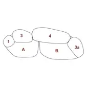 Diagram of red, rounded shapes labeled with numbers and letters, clustered together with white outlines on a plain background, text reads "pebble rubble – a3+b1".