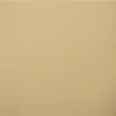Satin brass panel with vertical grain, warm gold tone, and textured brushed finish against a white backdrop.