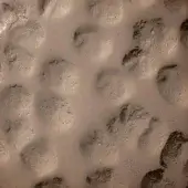 Honeycomb texture, light beige and brown tones, dense repetitive circular pattern with irregular edges and matte finish.