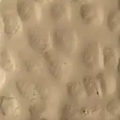 Beige textured surface displaying irregular, shallow depressions and raised areas, granular matte finish, diffuse lighting, organic pattern.