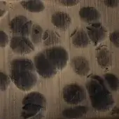 Brushed bronze texture with circular impressions and vertical striations, displaying a mottled, matte finish and organic pattern against a neutral backdrop.