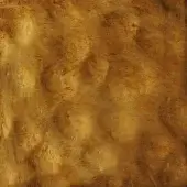 Antique gold leaf texture with mottled pattern, warm muted gold tones, and visible brushstroke detailing creating a patina effect.