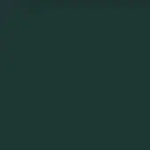 Dark green color field, matte finish, uniform tone, smooth surface, deep shade evoking stillness, consistent throughout the composition.