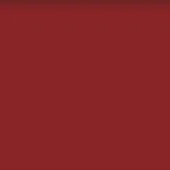 Rubino color field, muted red tone, smooth matte finish, even lighting, uniform composition, solid background, gradient darkening towards top.