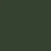 Dark green RAL 6020 lacquered surface, matte finish, uniform color, studio backdrop or digital swatch, Bolzan Letti brand.
