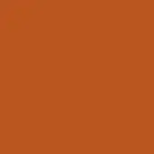 Warm ral 8023 color field, matte finish, even lighting, uniform tone, consistent saturation, studio or digital color representation.