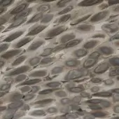 Inox steel texture displaying dense, oval scales in muted gray tones, with silver to charcoal variations and subtle directional flow.