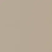 Muted bronze color swatch, matte finish, consistent tone, seamless background, warm earthy hue with gray undertones, minimalist presentation.